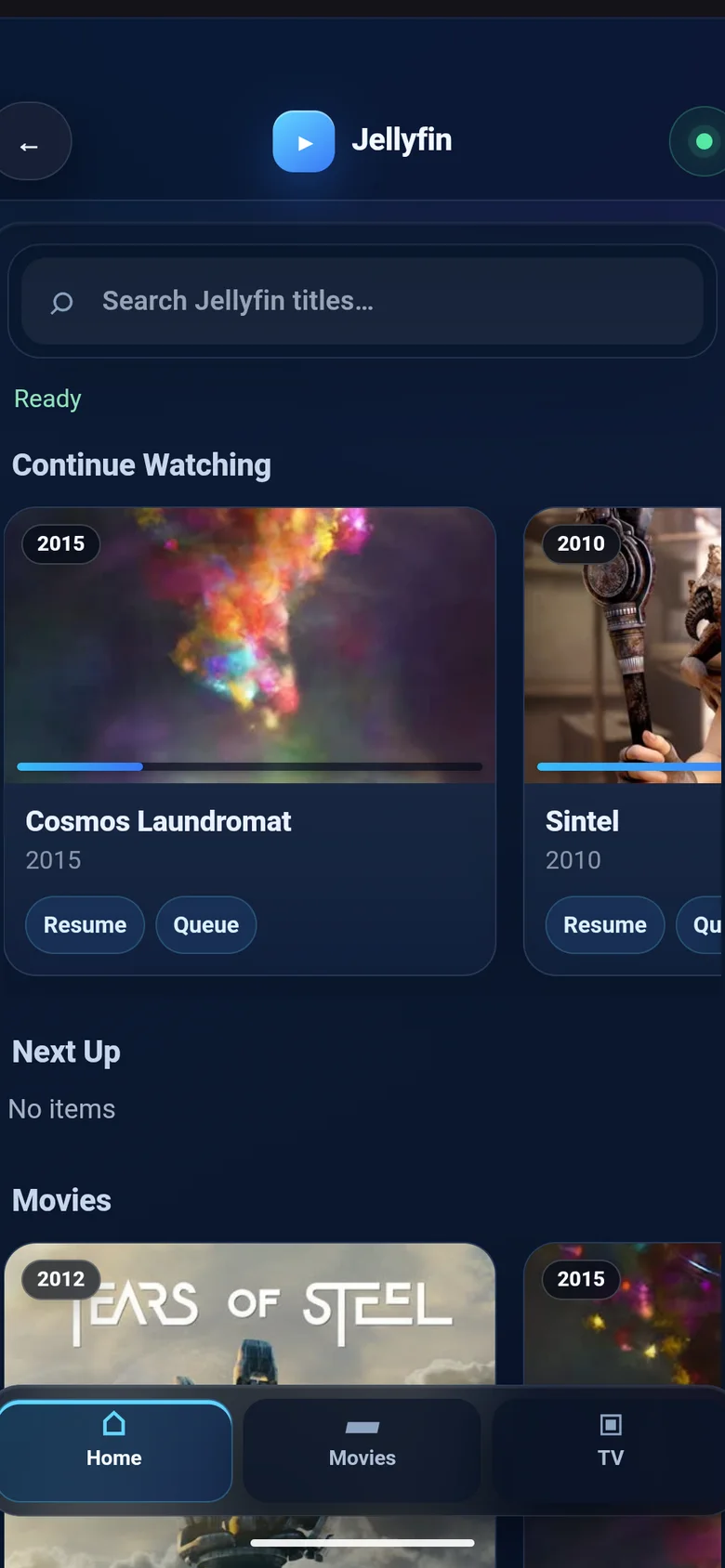 RelayTV browsing a Jellyfin series with playback actions